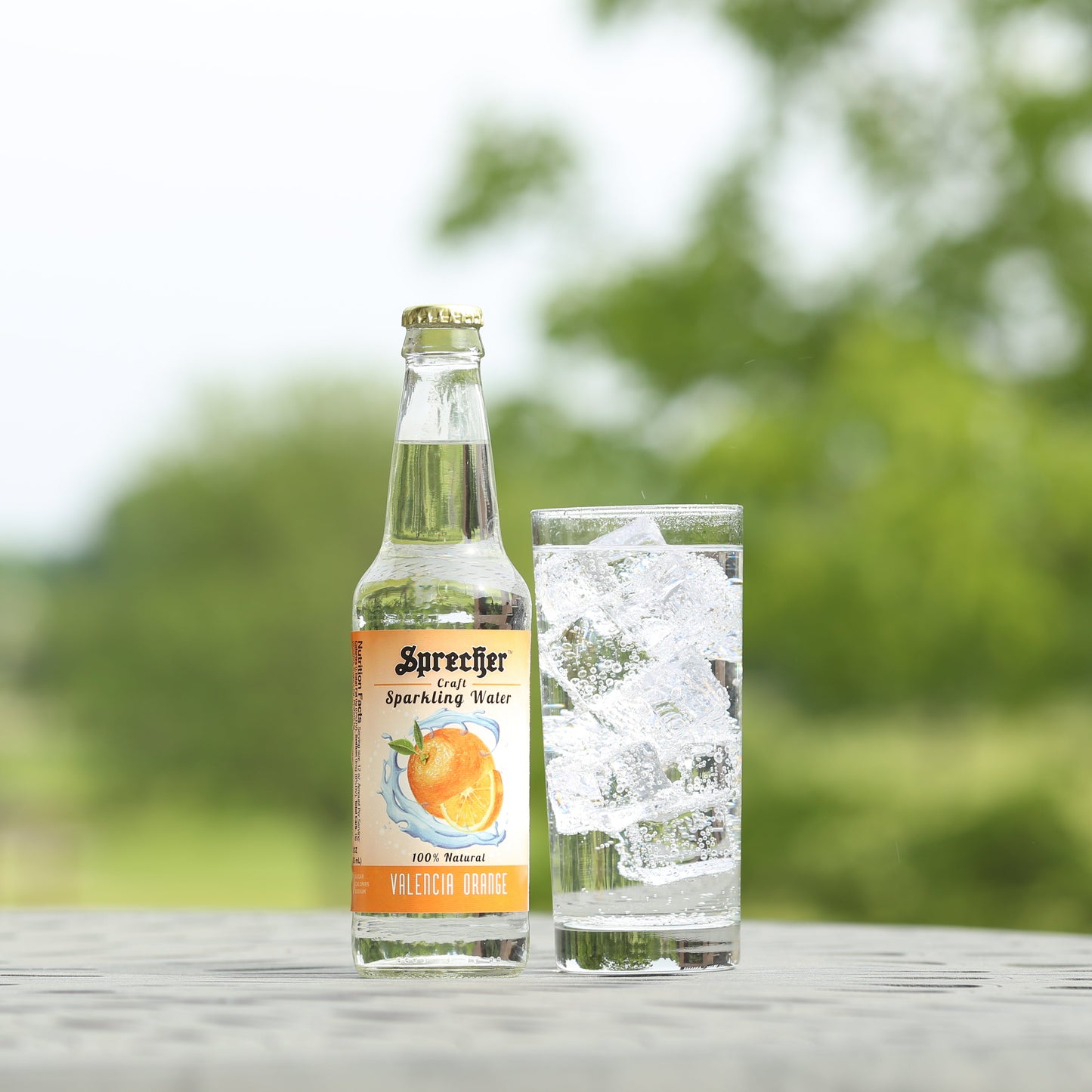 Sparkling Water Variety Pack