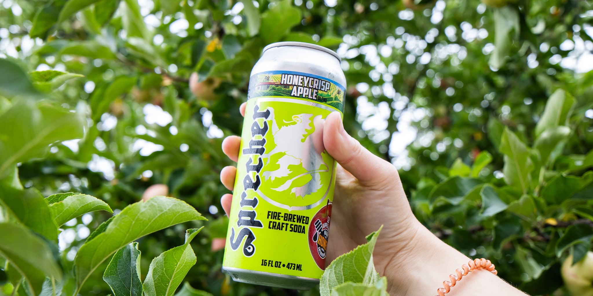 A 4 pack of apple soda outside with a woman reading under a tree in the background