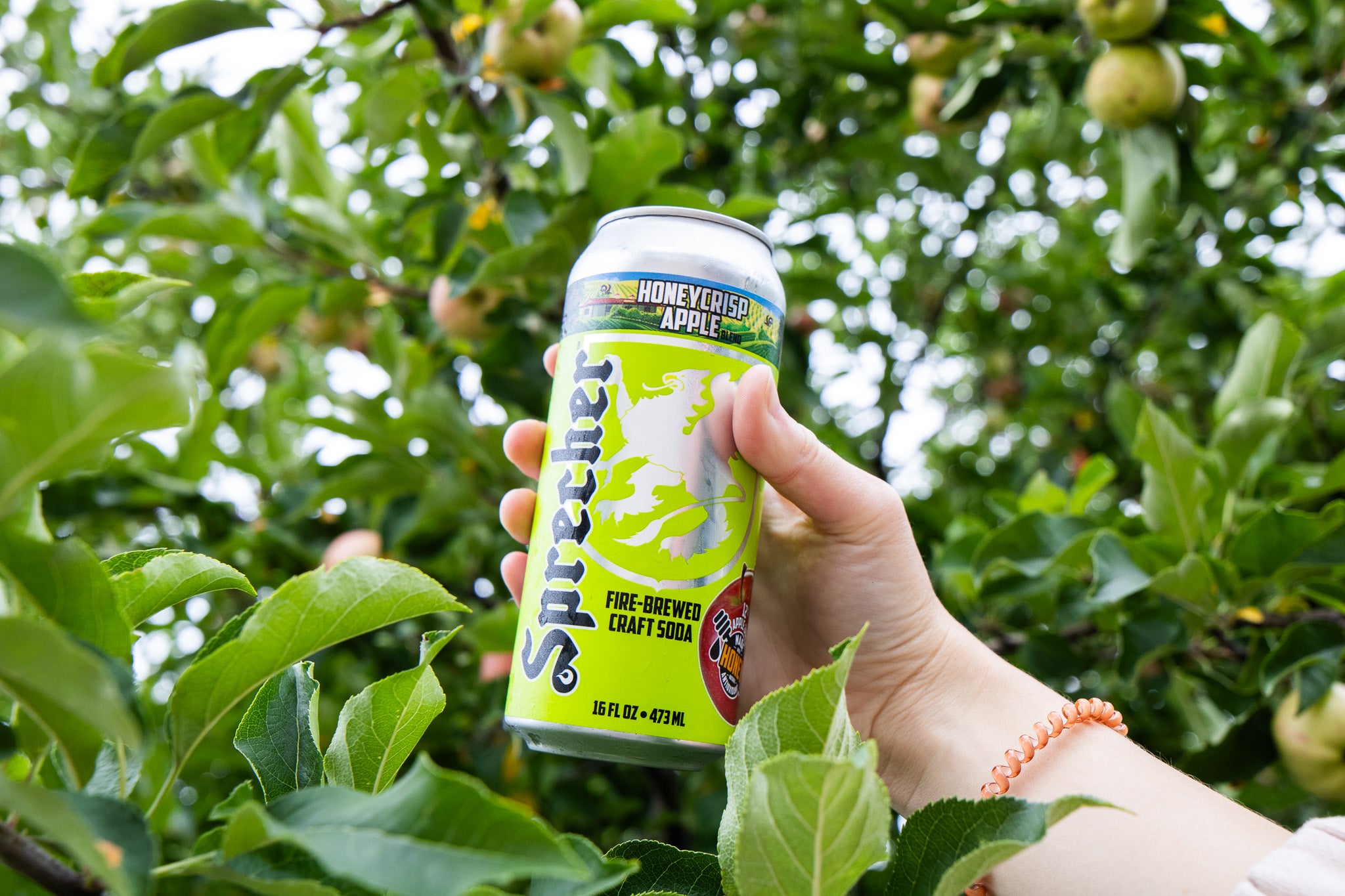 A 4 pack of apple soda outside with a woman reading under a tree in the background