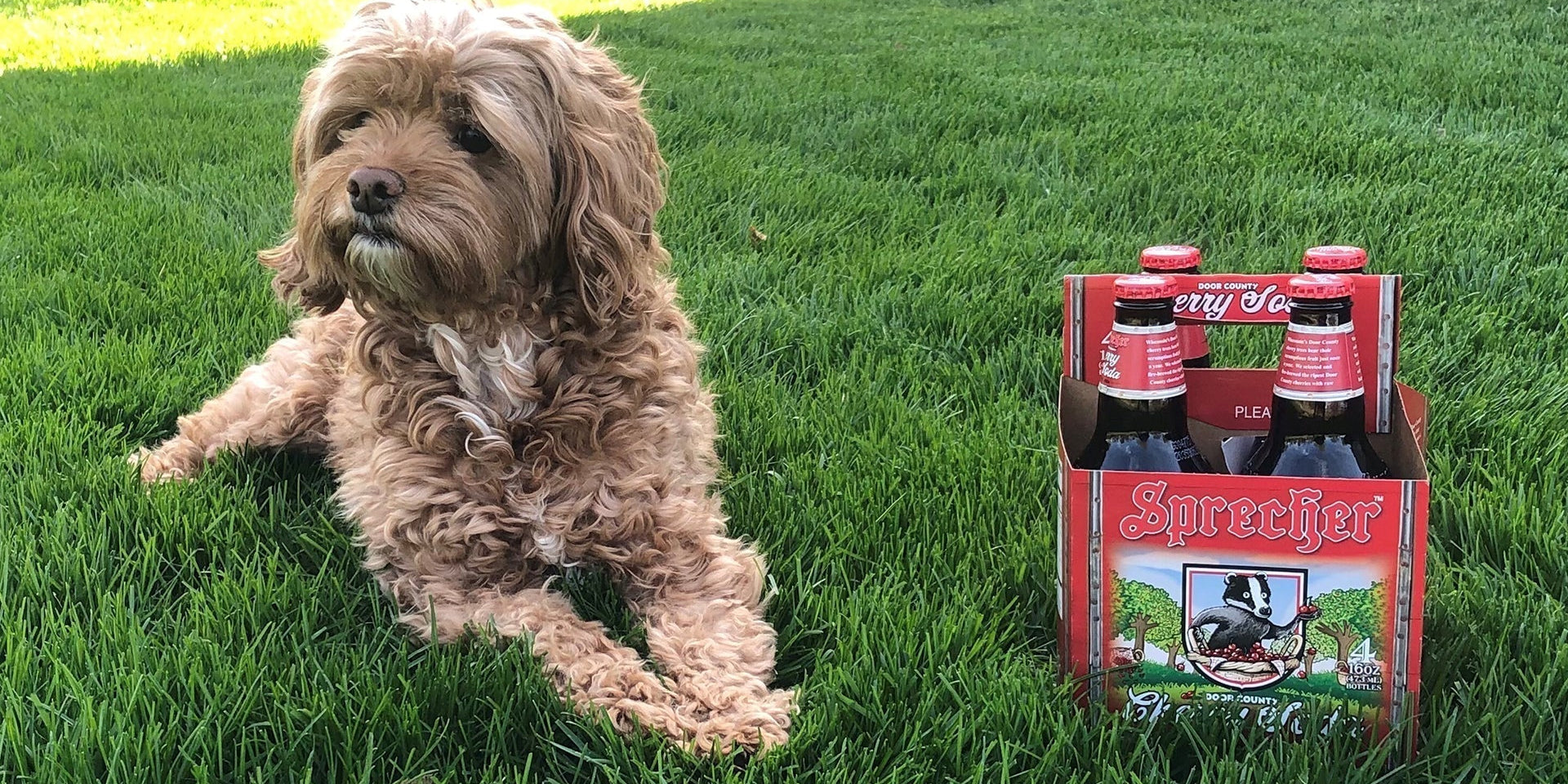 Animals & Ales - Pet Photo Contest!