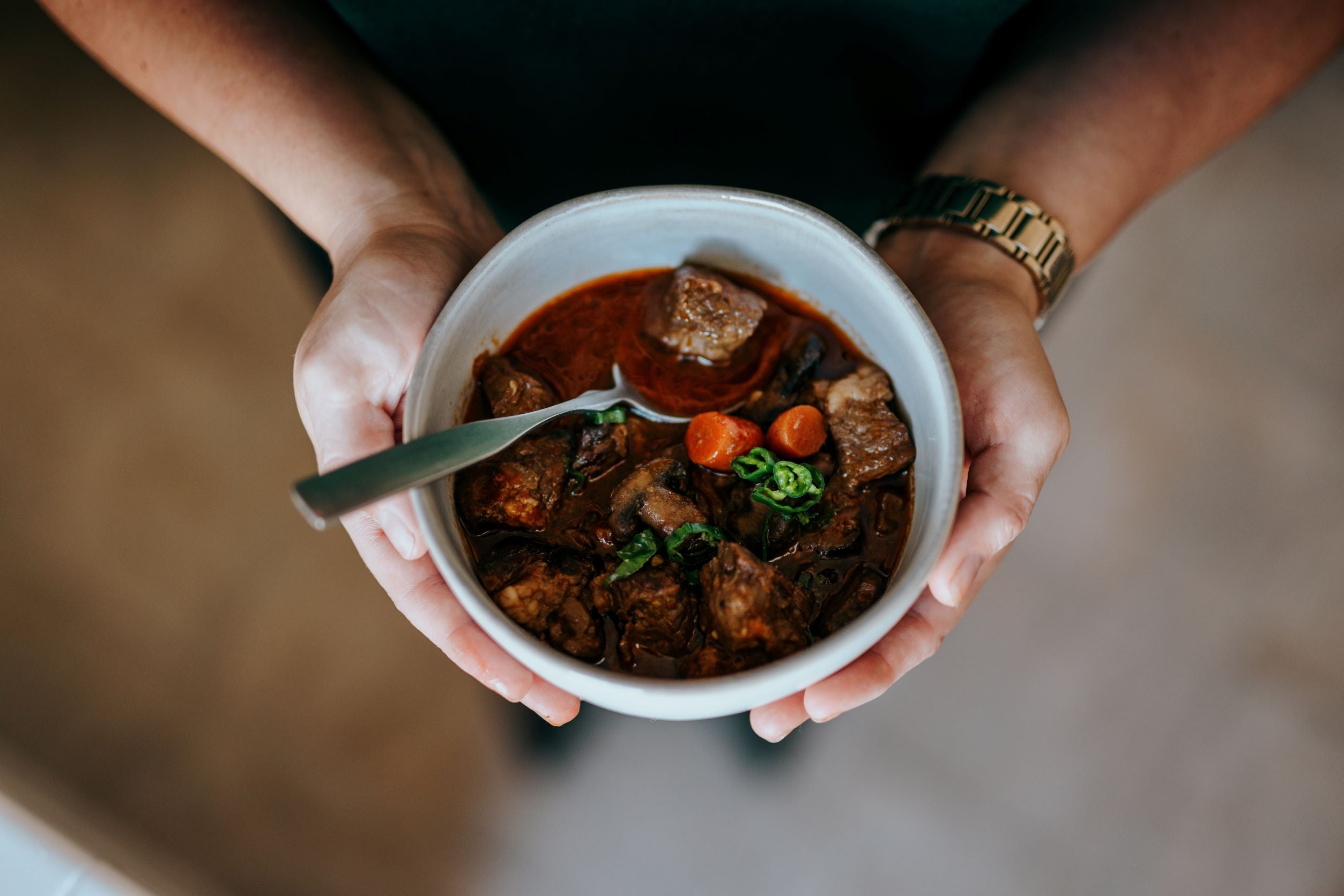 A bowl of black Bavarian stew with chunks of meat, carrots, and green onion slices