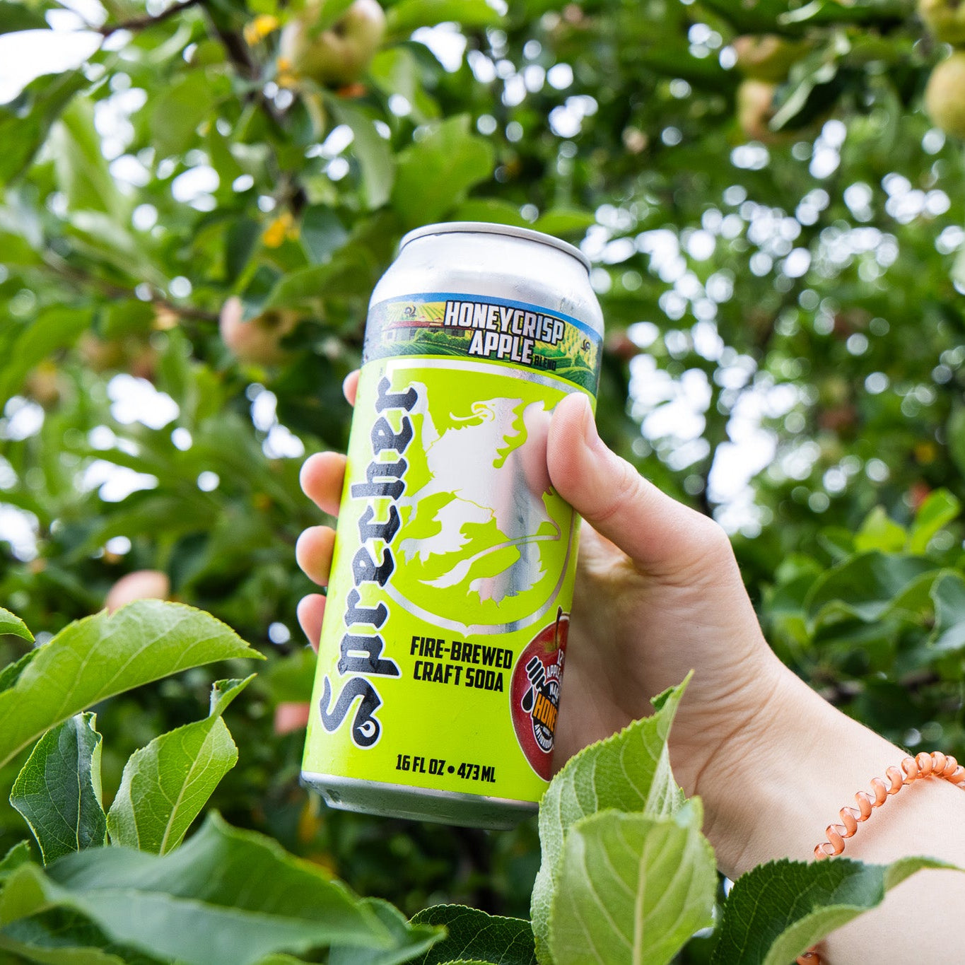 Person holding a can of Sprite with a honey crisp apple flavor against an apple tree background