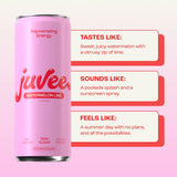 Watermelon Lime Energy Drink