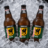 Ginger Ale Soda