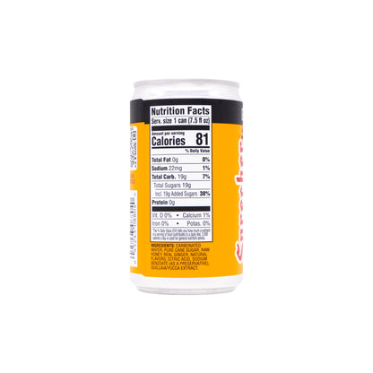 Ginger Beer Mini Cans