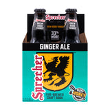 Ginger Ale Soda