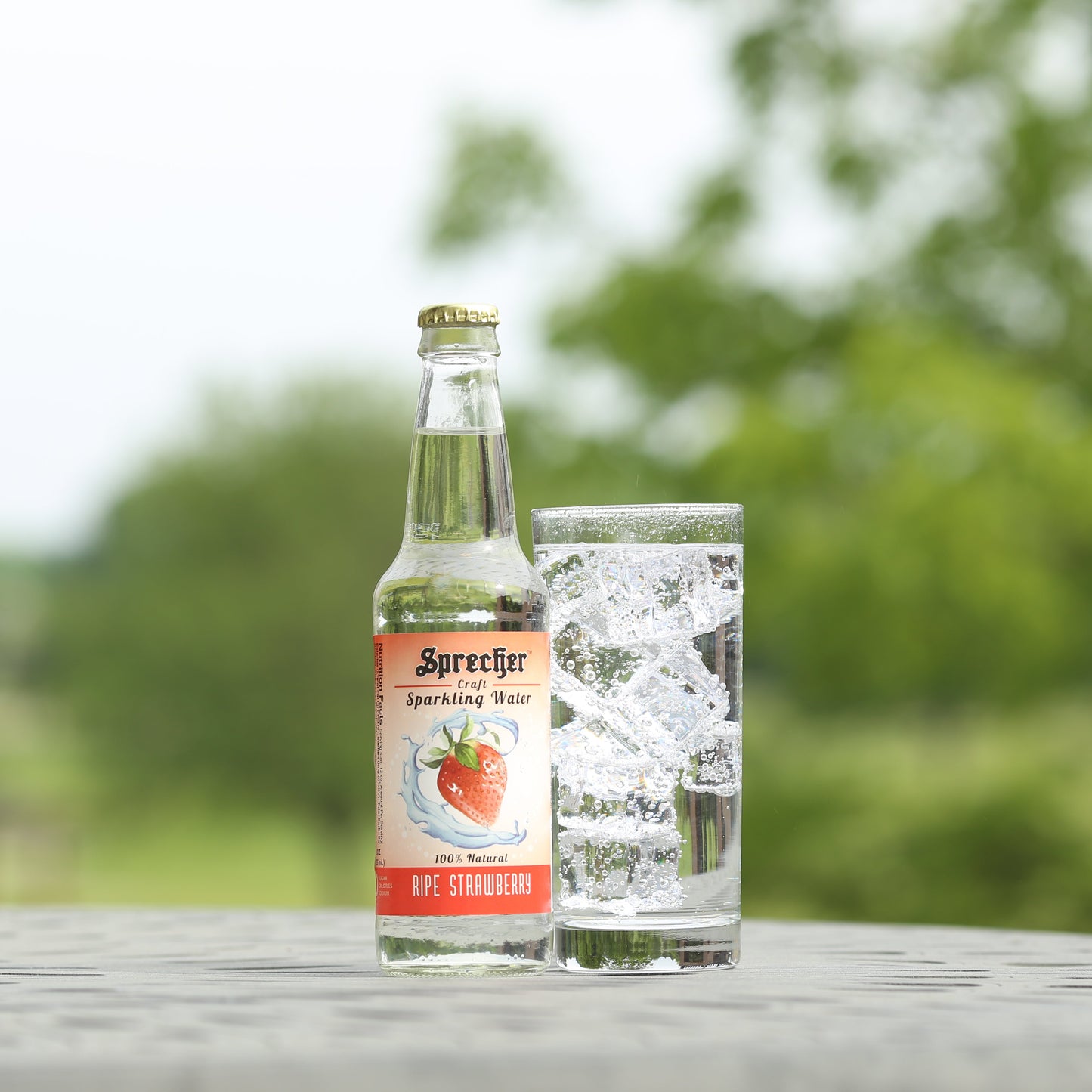 Sparkling Water Variety Pack