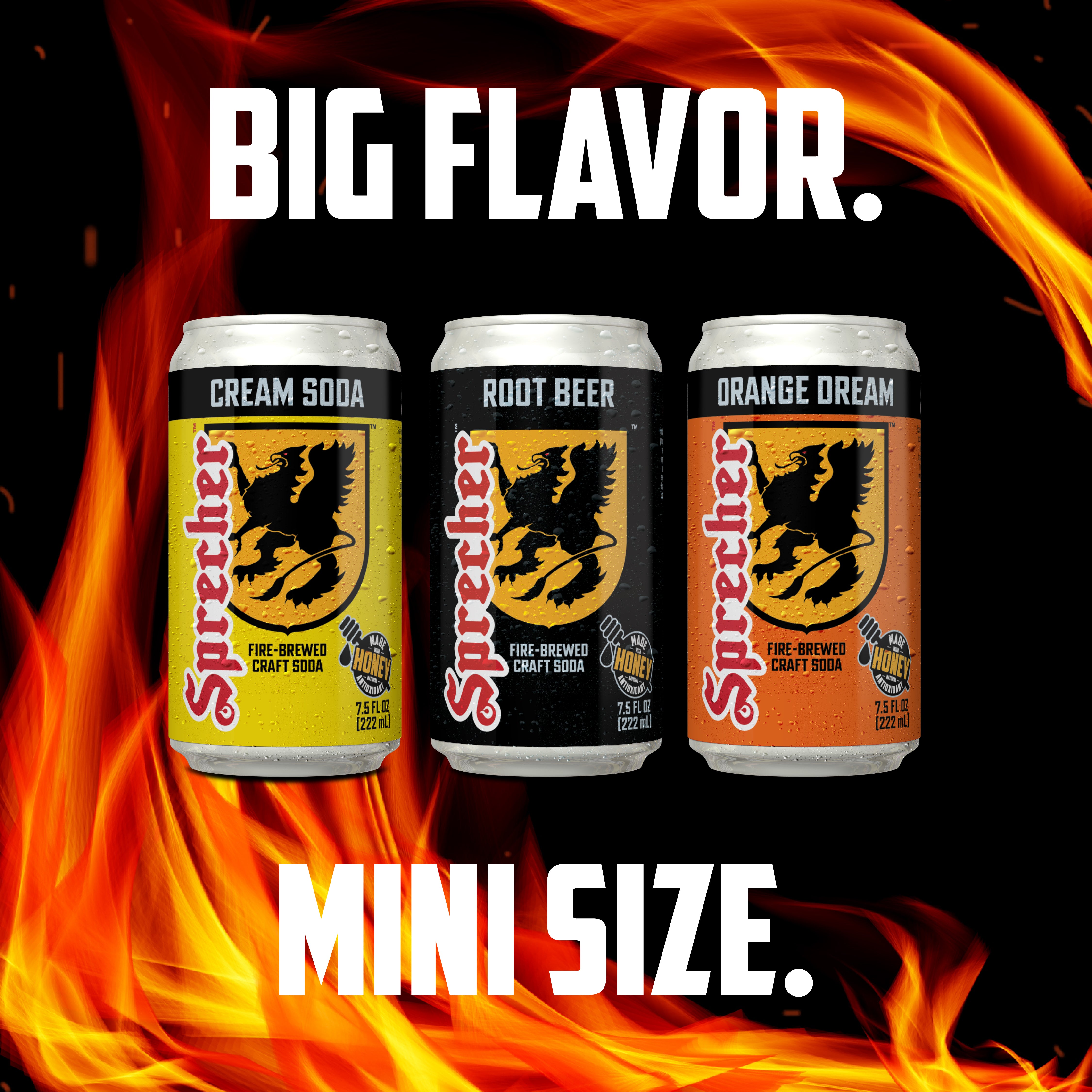 Mini Can Soda Variety Pack