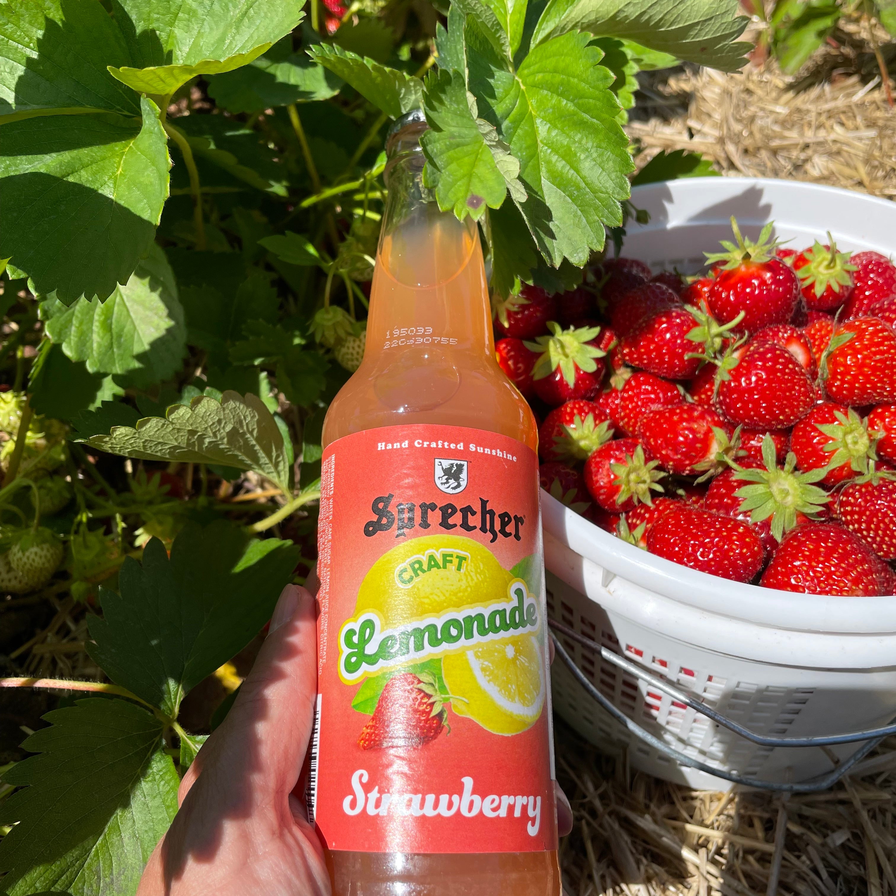 Sparkling Strawberry Lemonade